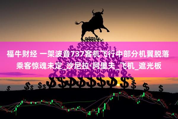 福牛财经 一架波音737客机飞行中部分机翼脱落 乘客惊魂未定_沙尼拉·阿里夫_飞机_遮光板